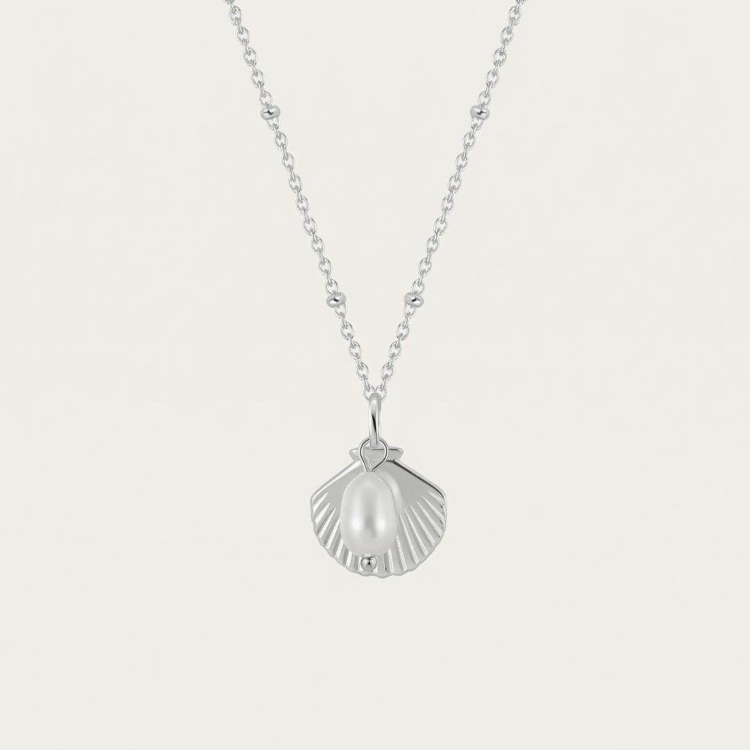 Elyndra | Shell Pearl