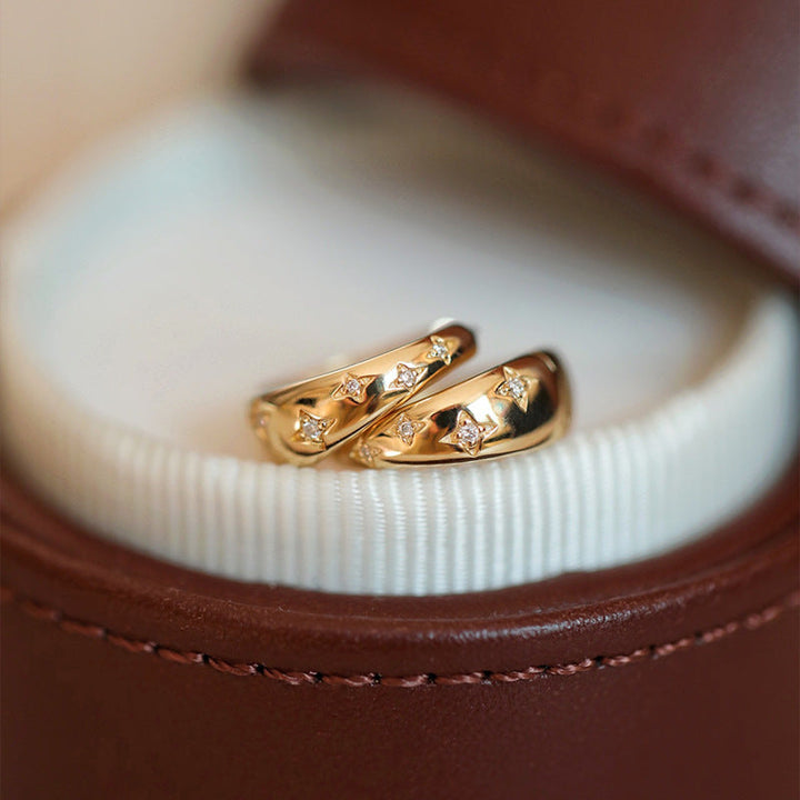 Luxury Gold &amp; Silver Earrings
